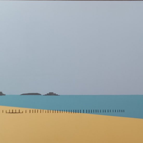les prises lames sur la plage du sillon 92x65